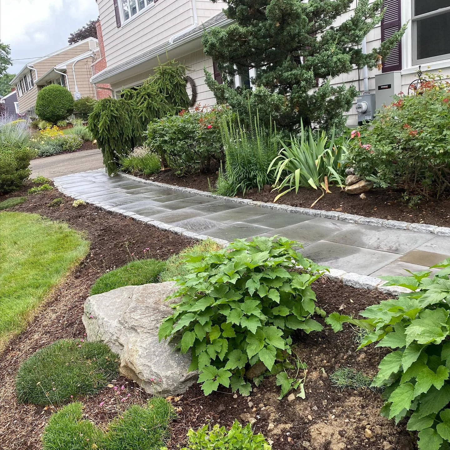 A newly completed Blue Stone Walkway Installation featuring granite cobble edging and lush garden landscaping in a residential front yard.
