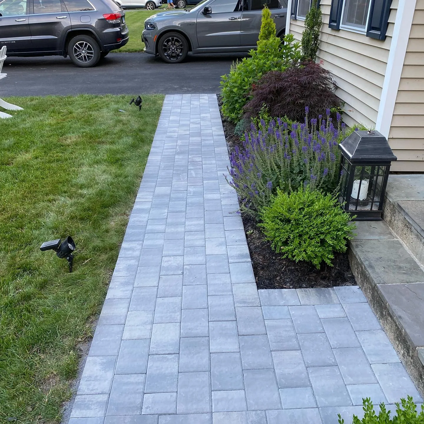 Completed front yard paver path featuring light grey interlocking stones leading from an asphalt driveway to the house steps, bordered by a landscaped garden bed with green shrubs and purple flowers.